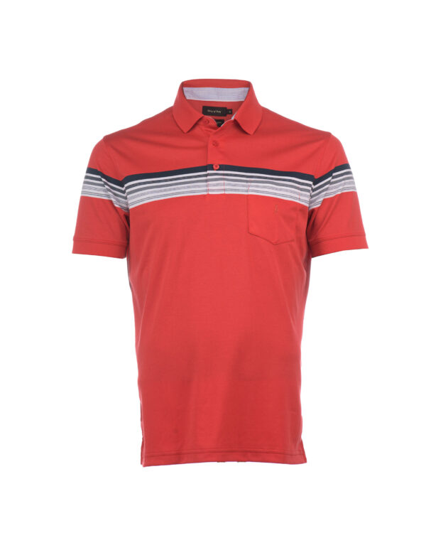 POLO BOX WINTER OXFORD MANGA CORTA